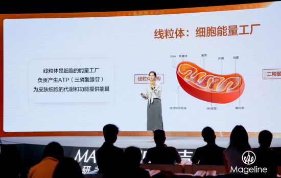 科研重磅发布！麦吉丽多组学抗衰指南出炉开启“系统性抗老”新纪元(图6)