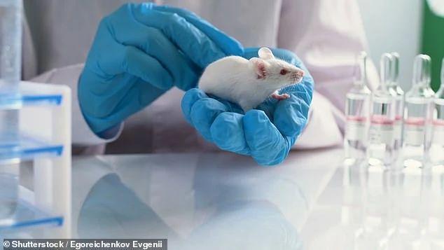 科学家告诉你如何延缓衰老？盘点2023年的六项顶尖抗衰老科学突破(图4)