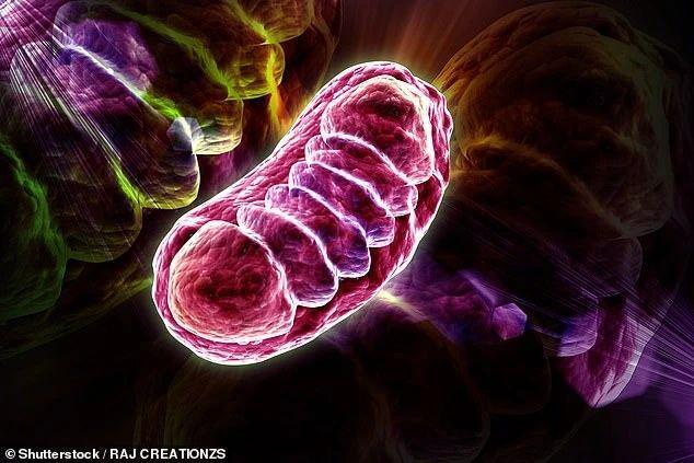 科学家告诉你如何延缓衰老？盘点2023年的六项顶尖抗衰老科学突破(图7)
