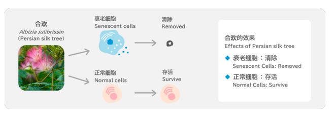格力高总部探秘：瞄准全球10亿人一年花60亿日元做研发爆款(图23)