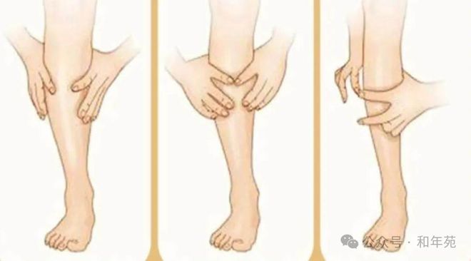 肌肉健康出了新管理共识两个方法自测肌肉力量(图3)