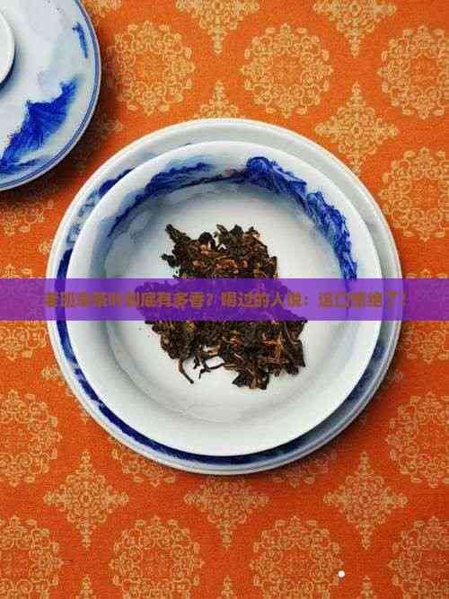 张朝阳的英语课讲述最新大脑抗衰研究(图1)
