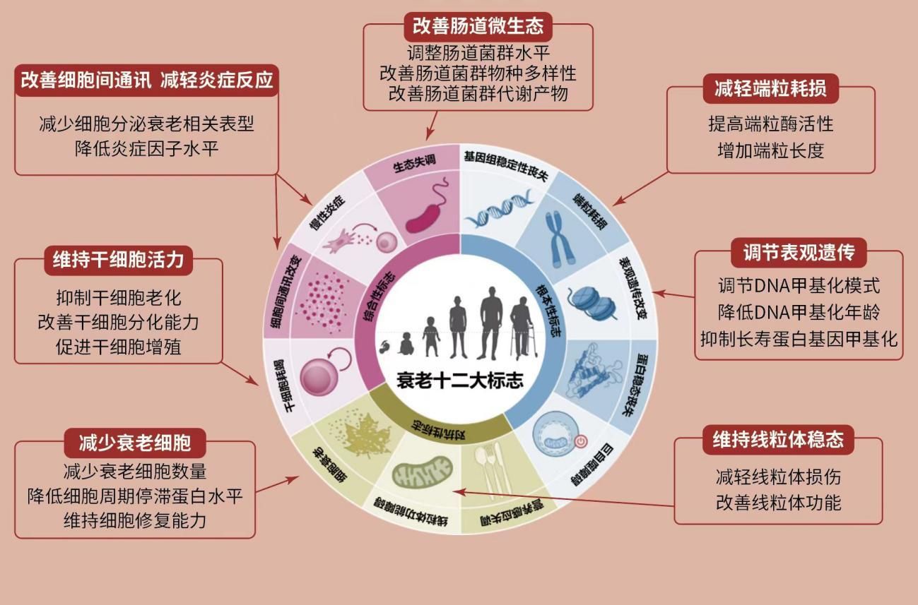 下一个十年：谷雨要走一条从护肤品到生命健康的新路(图1)