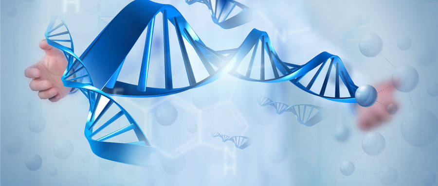 华熙生物：科技助力抗衰老未来可期！(图1)