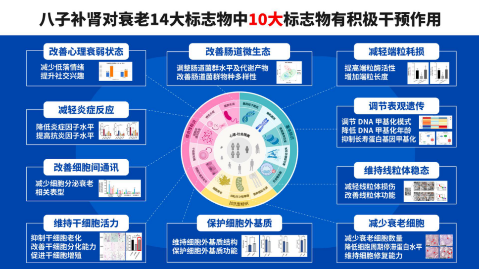 IdealWorldLLC香港公司IdealWorldLimited正式成立(图1)