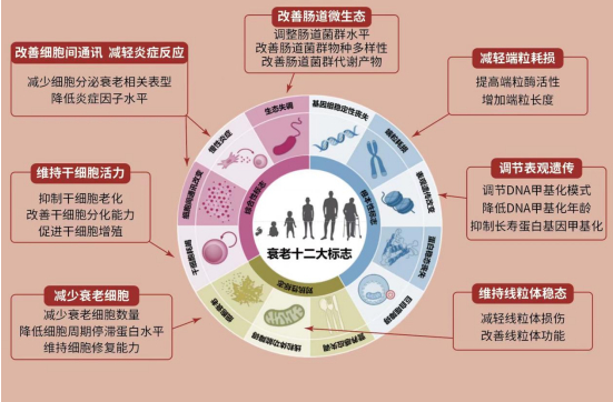 减肥_标签_网易出品(图1)
